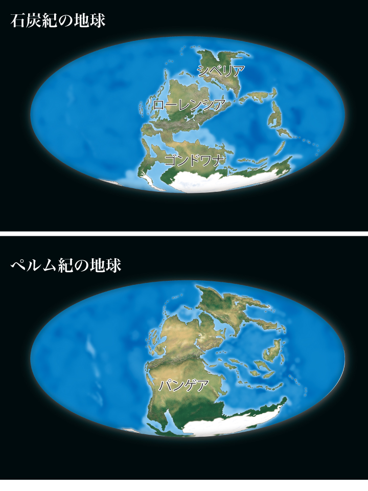 あまりに奇妙な姿かたち」をした「不思議な古生物」たちの「ヤバ