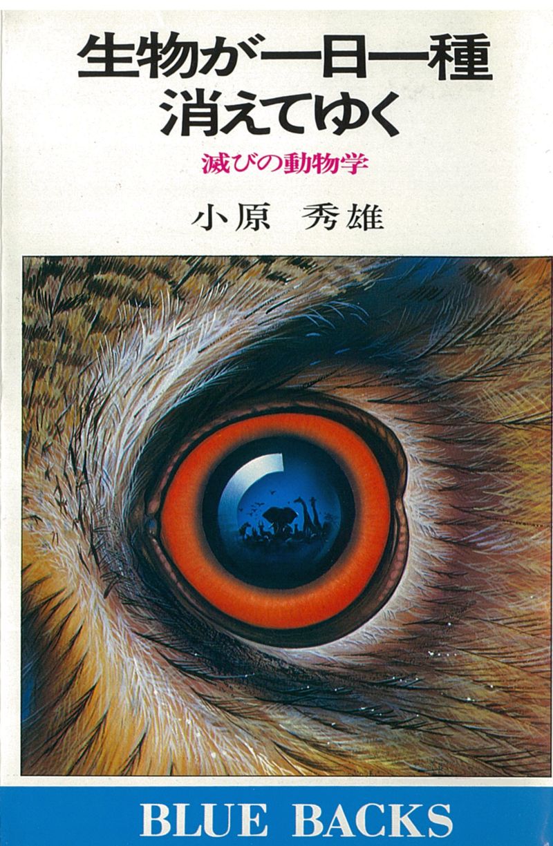 小原 秀雄 Hideo Obara | ブルーバックス | 講談社