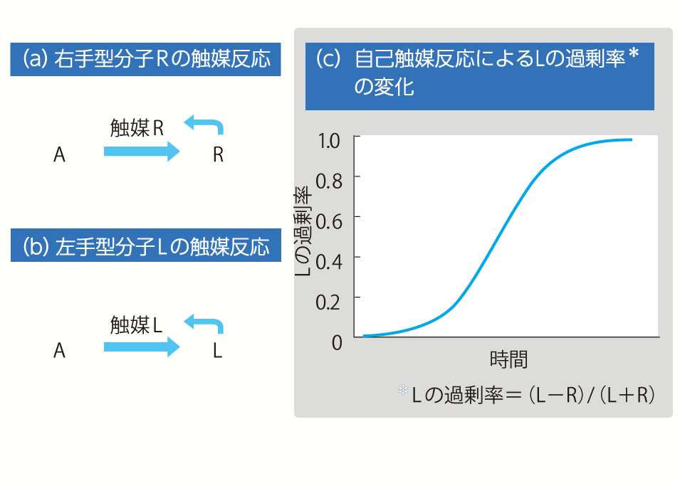 なんと、この「地球の生命」が持つアミノ酸は「特別な比率」だっ