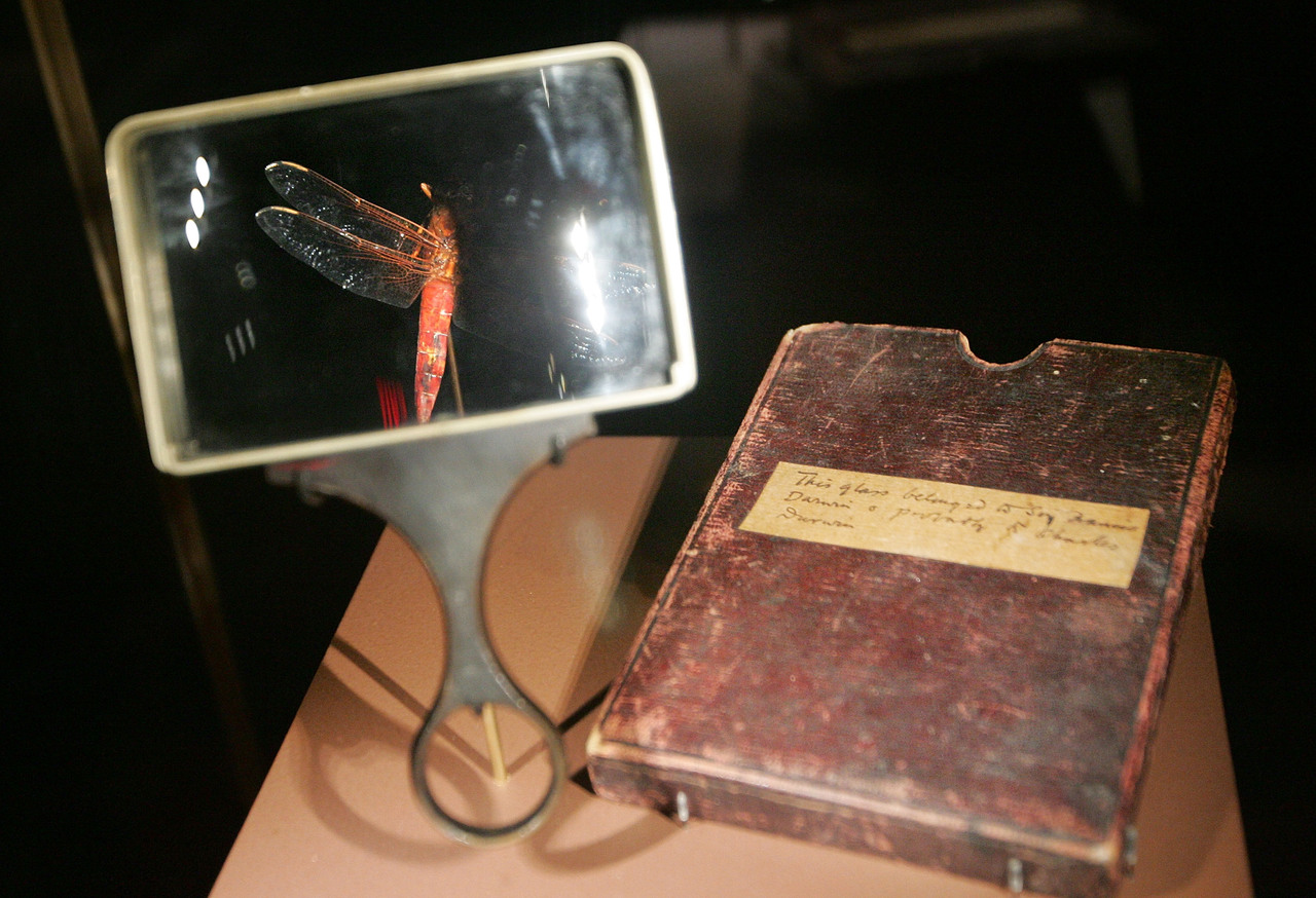 ＮＨＫスペシャル「超・進化論」ディレクターが見た、人間が見えていない“生き物たちの別世界”（NHKスペシャル取材班＋緑慎也） - 2ページ目 |  ＋αオンライン | 講談社