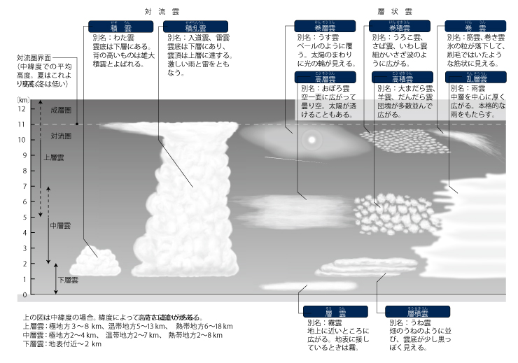これ以上は、もう無理…限界まで成長しきった雲でわかる「大気の境」。なんと「成層圏まで飛び出す」“やんちゃ”もいた（古川 武彦,大木 勇人 ...