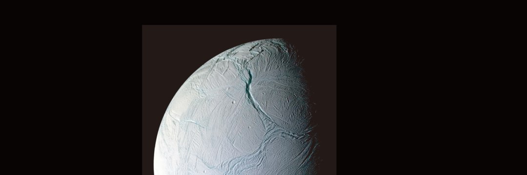 一馬ブランド海に落ちた地球外生命体リング 海に落ちた地球外生物 (vari.3)
