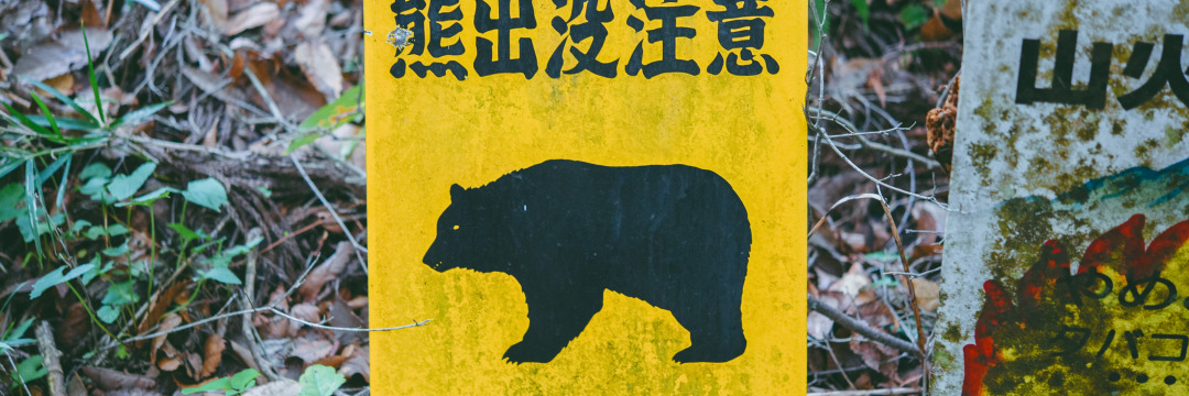 牛55頭襲撃の怪物」「快楽犯」とも謳われたヒグマ・OSO18。一頭