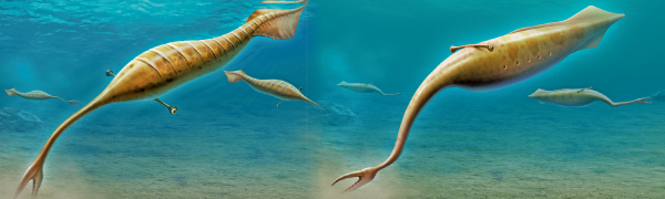 日本画で描くディプロカウルス　古生物　ペルム紀　両生類　水彩画　岩絵具　水干絵具 日本画で描くディプロカウルス 古生物 ペルム紀 両生類 水彩画