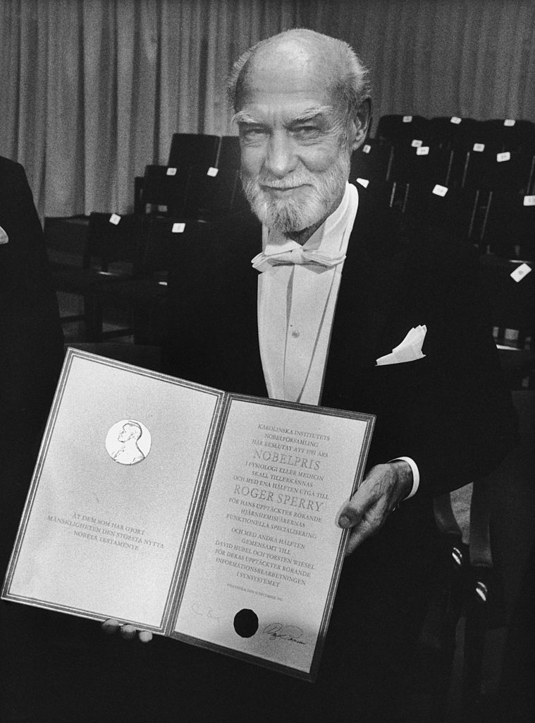 ロジャー・スペリー 科学と倫理的優先 神経心理学 心理学 哲学 ロジャー・スペリー 科学と倫理的優先 神経心理学 心理学 哲学