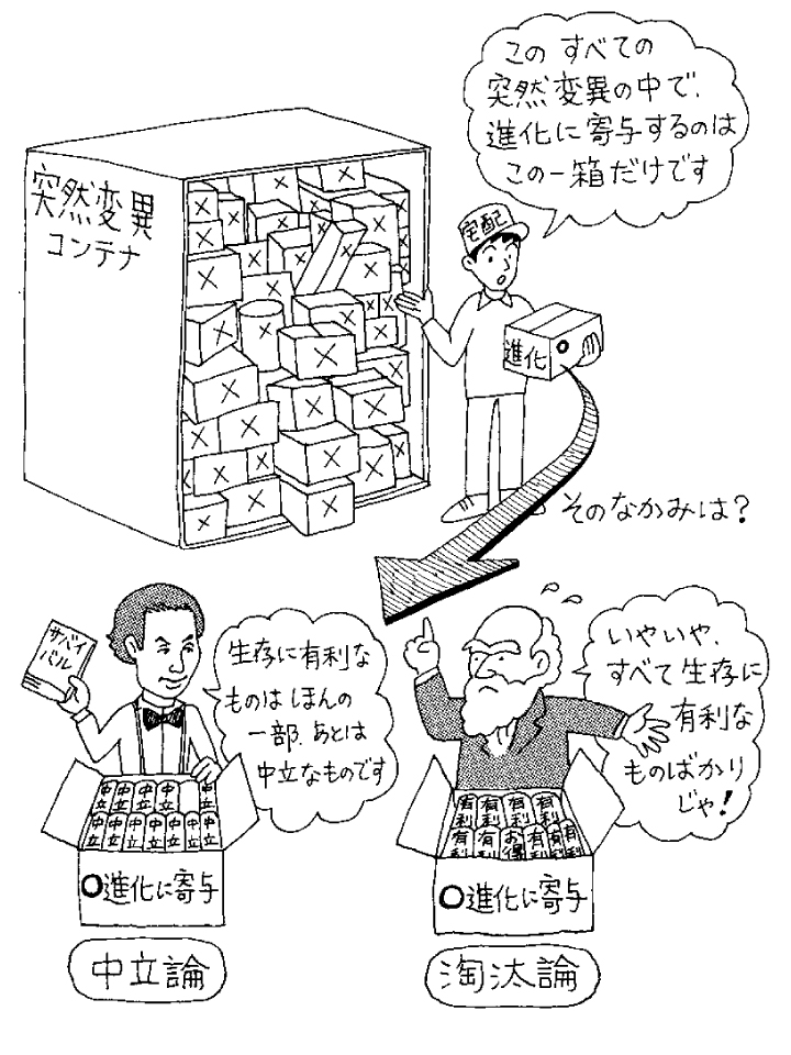 突然変異主導進化論 進化論の歴史と新たな枠組み Amazon.co.jp: 突然変異主導進化論: 進化論の歴史と新たな枠組み