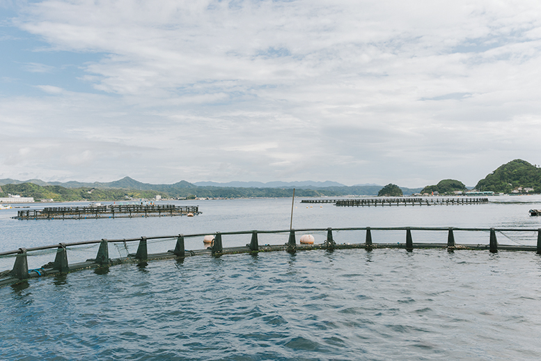 SUP一式 JETTY なりひびく