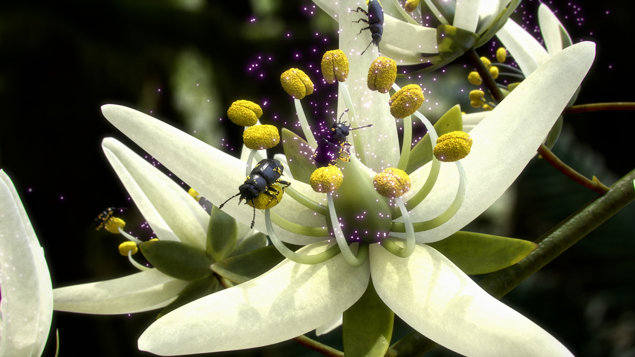 花粉はここにあるよ」花からのメッセージが、生物の多様化を加速した！ 化石が語る衝撃真実！（NHKスペシャル取材班＋緑慎也） - 2ページ目 |  ＋αオンライン | 講談社