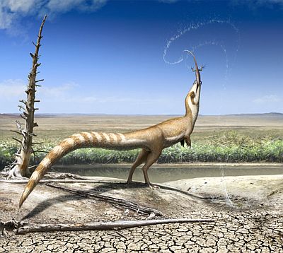 大発見…！ 農民の「バイト発掘」が「恐竜＝鳥」説を確立させた