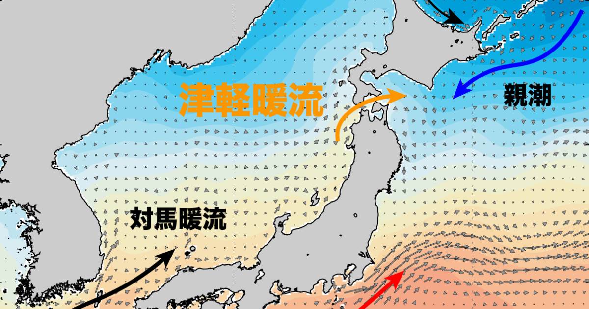 日本海と太平洋が交わる海「津軽海峡」。暖流と寒流がつくる複雑な海の謎といま起こっているある変化とは!?（佐々木 建一,金子 仁） | ブルー ...