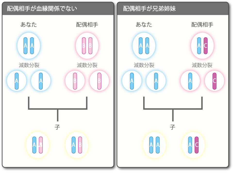 近親交配はよいこと？ 進化の法則をめぐるジレンマ（更科 功） | ブルーバックス | 講談社