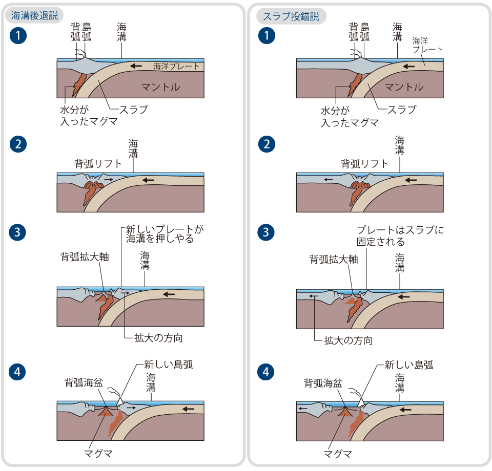 フィリピン海プレートによって、はるばる南から運ばれてきた伊豆半島…なんと、南部フォッサマグナは「日本列島との衝突」でできた（藤岡 換太郎 ...