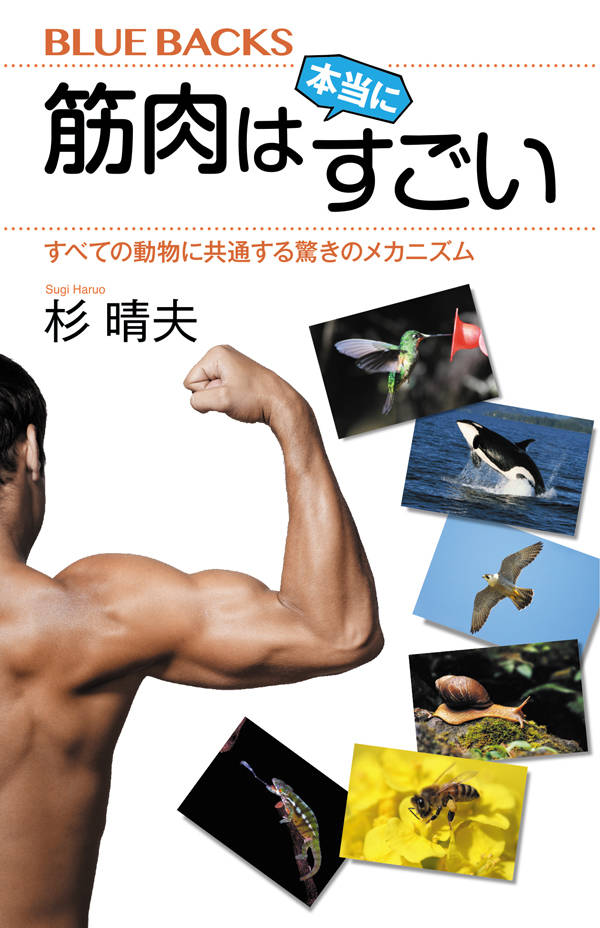 杉 晴夫 HARUO SUGI | ブルーバックス | 講談社