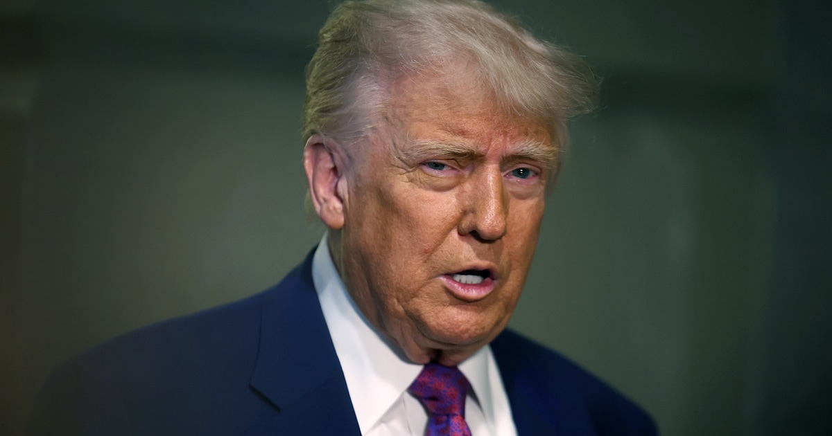 トランプです 14891?size=m